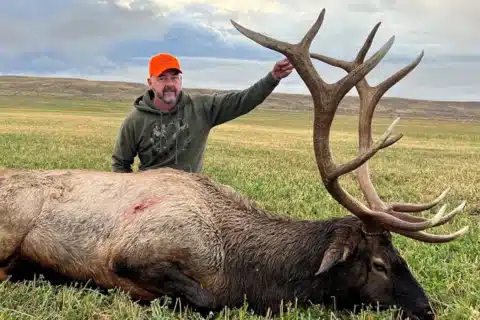 Elk Hunt - Hunt Nation