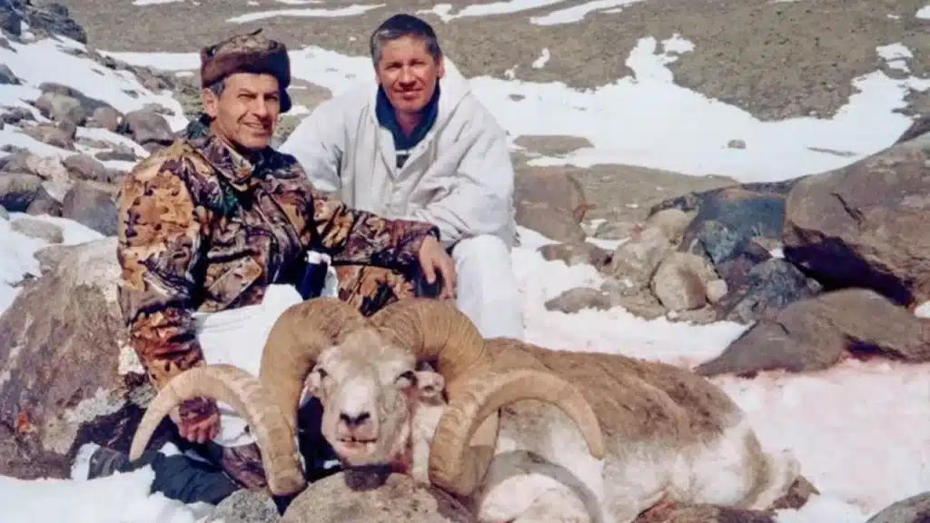 Marco-Polo-Sheep-The-Complete-2025-Guide-to-Natures-High-Altitude-Giant