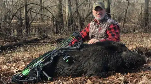 hog-hunting-hunt-nation