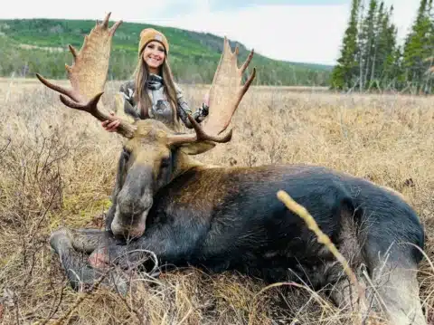 Moose Hunt